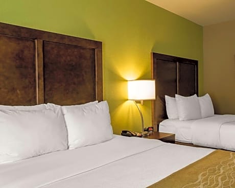 1 King Bed, Nonsmoking