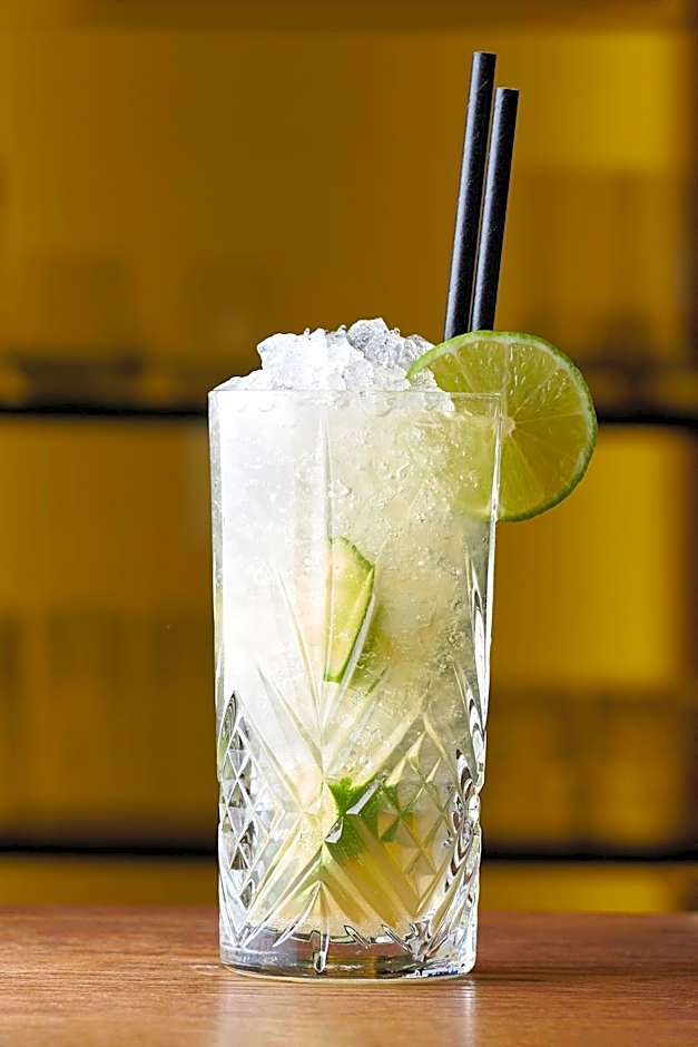 Aspen Alpine Lifestyle Hotel