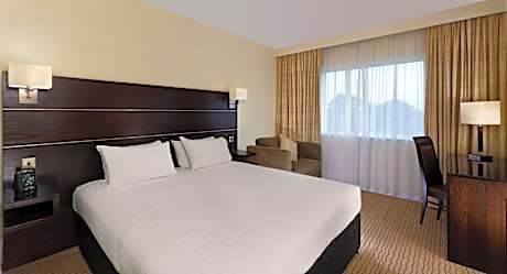 King Guest Room