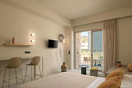 Double Room with Pool View