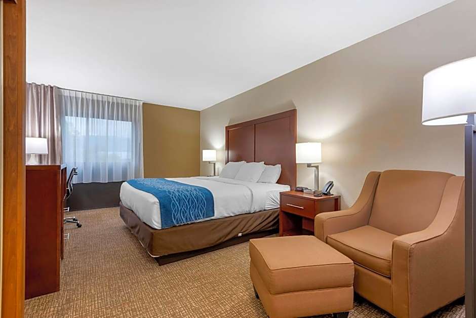 Comfort Inn Binghamton I-81