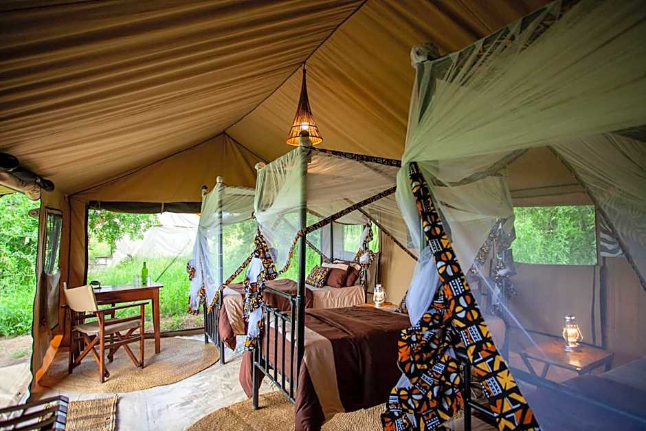 Gnu Ndutu Camp