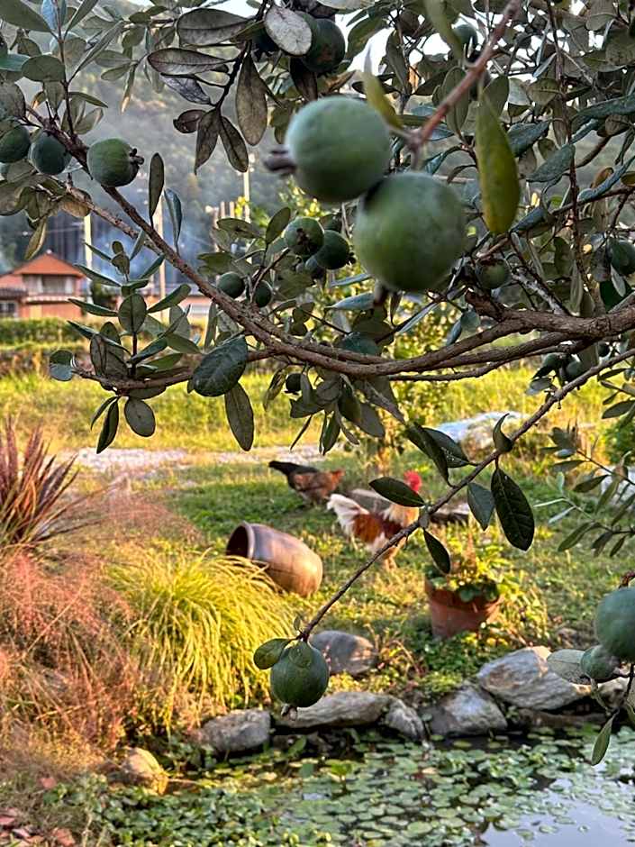 ジビエと田舎暮らしの宿 ヌックスキッチン Japanese Game Meat Cuisine & Lodge Nook's Kitchen