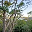 YHA Pittwater Eco, Sydney
