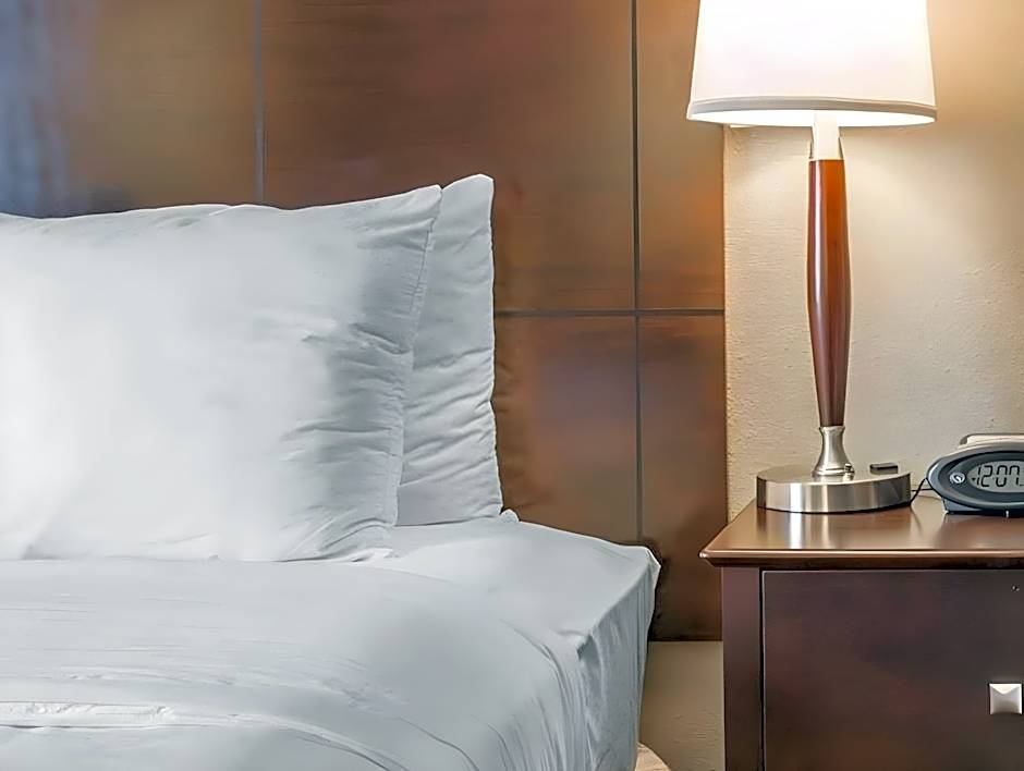 Comfort Suites Saginaw North