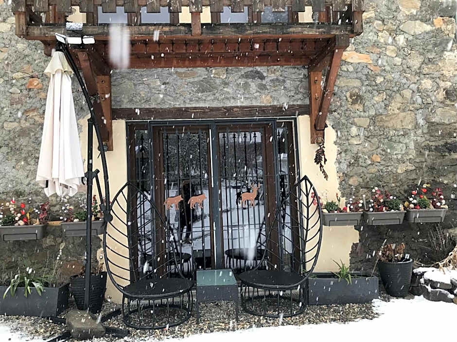 AU SOMMET DES NARCISSES