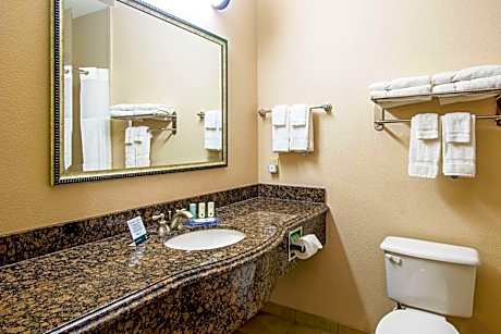 King Suite with Sofa Bed - Non-Smoking