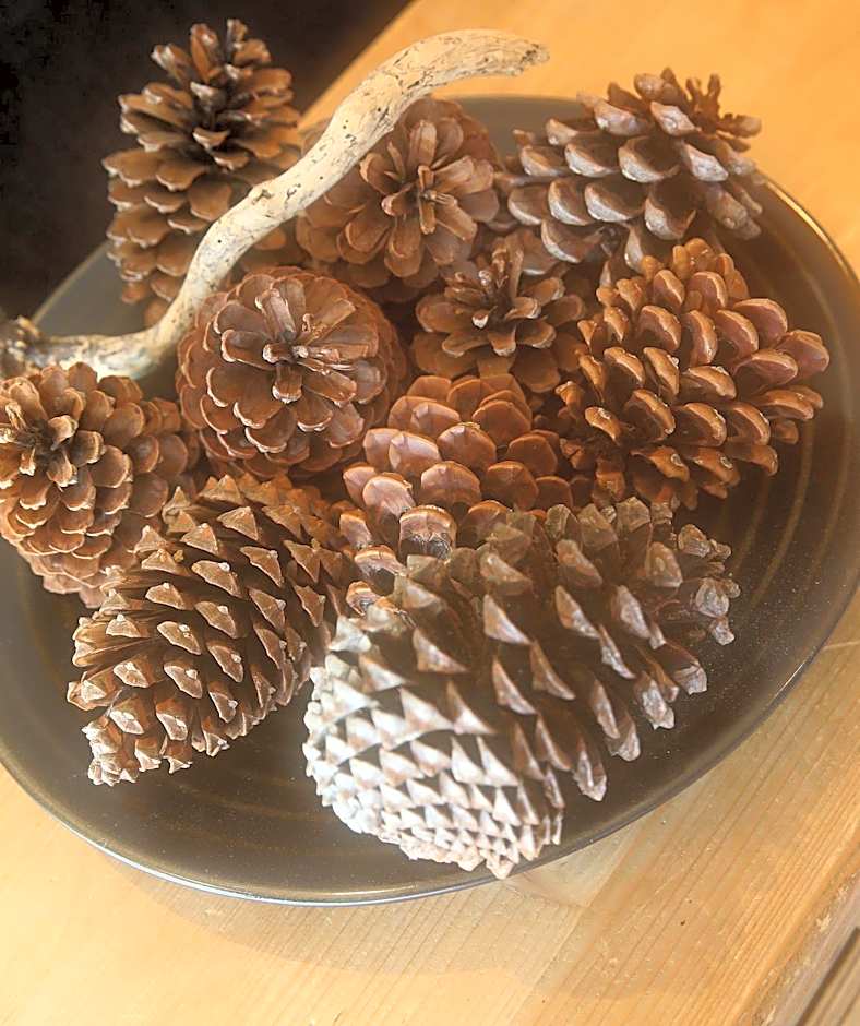 Hôtel Restaurant La Buffe