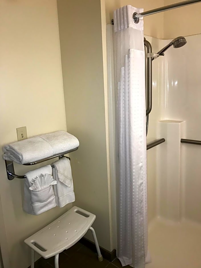 Holiday Inn Hotel & Suites Ann Arbor University of Michigan Area By IHG