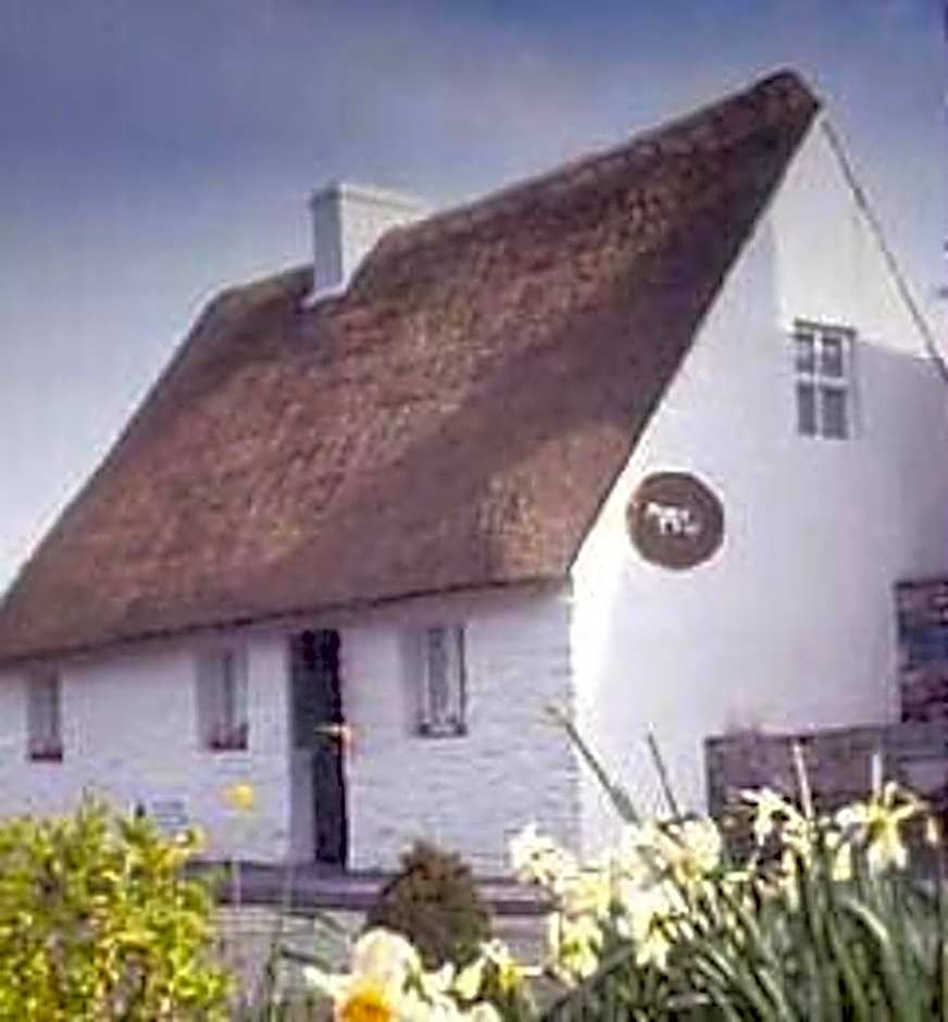 Michaeleen's Manor B&B