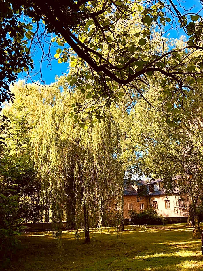 Le Moulin De La Wantzenau - Strasbourg Nord