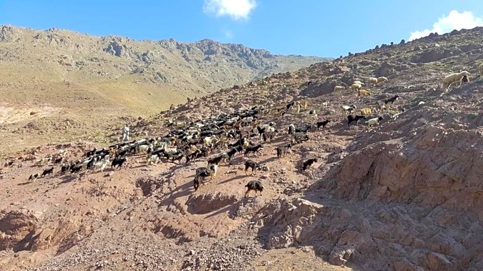 Tamatert Guest House