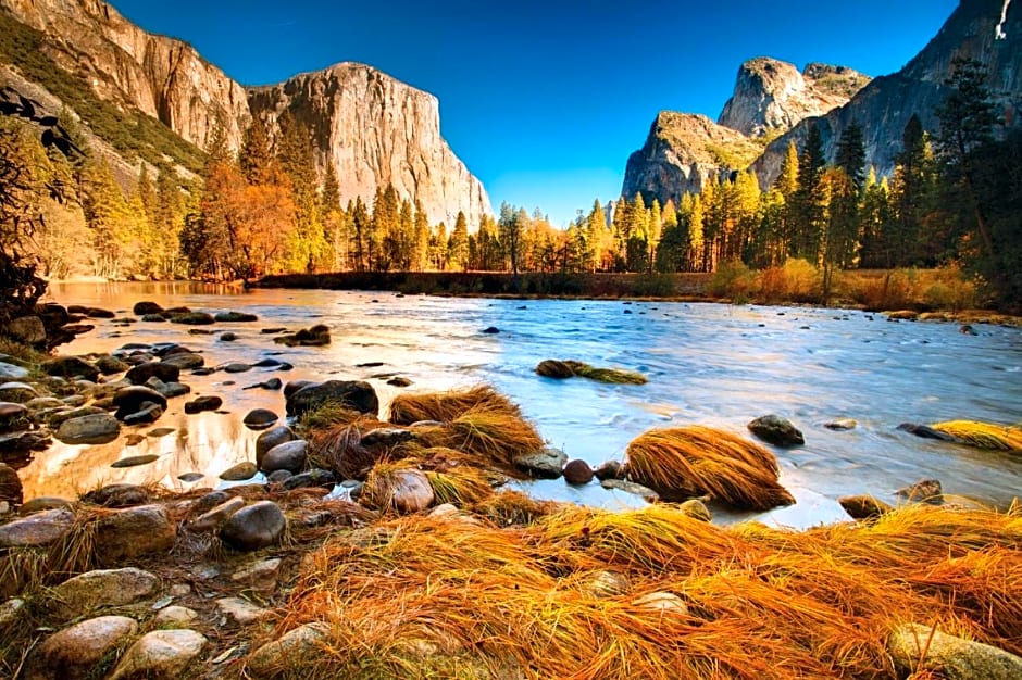 Yosemite Valley Lodge