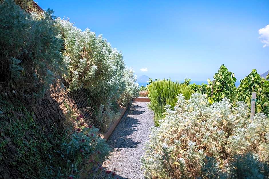 Tenuta di Castellaro Winery & Resort