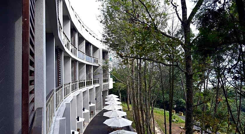 Sun Moon Lake Bamboo Rock Garden