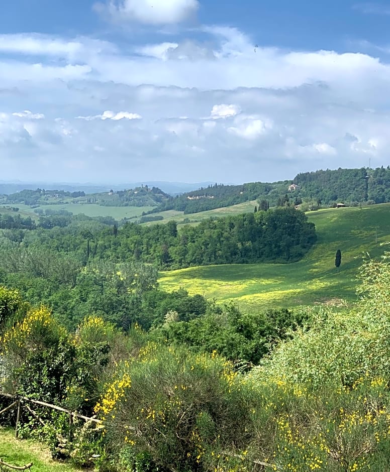 Il Paretaio
