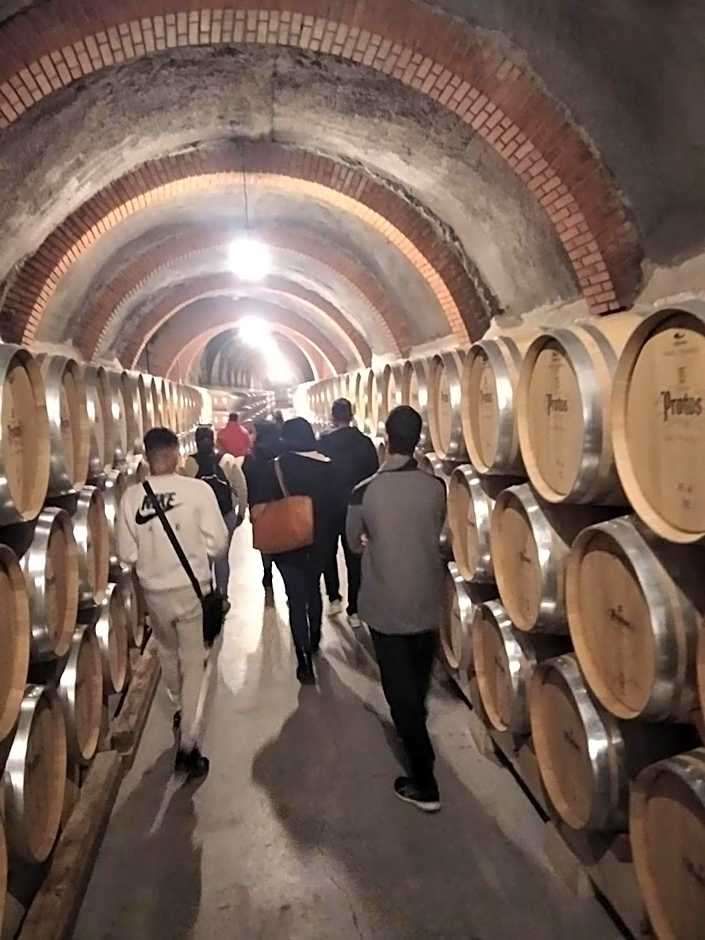 Hotel Escuela San Cristobal