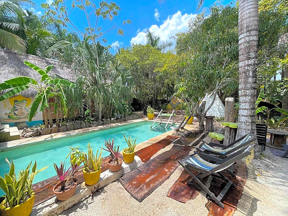 Bufo Alvarius Sanctuary Bacalar