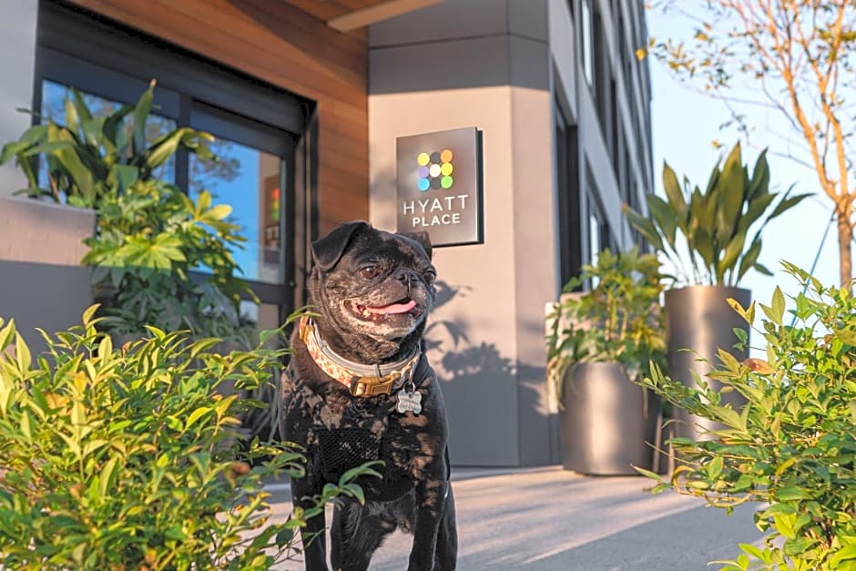 Hyatt Place Atlanta/Perimeter Center