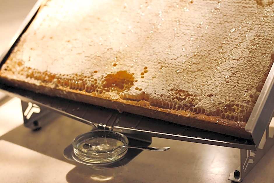 Hotel Auwirt Zentrum