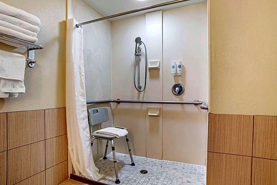 Comfort Inn Opelika - Auburn