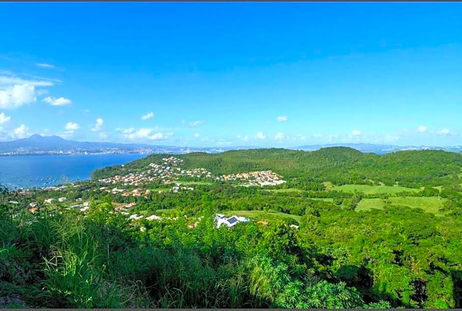 Magnifique T2 au Trois ilets avec vue Panoramique