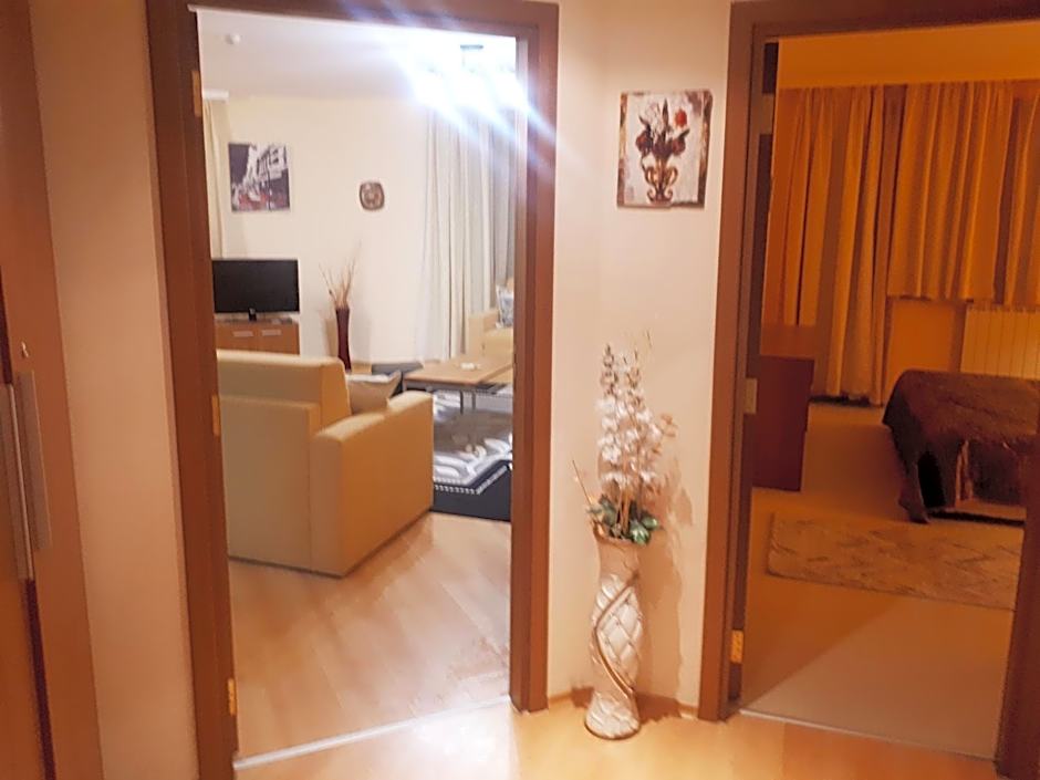 Enjoy Studios and Lovely Apartment Villa Park