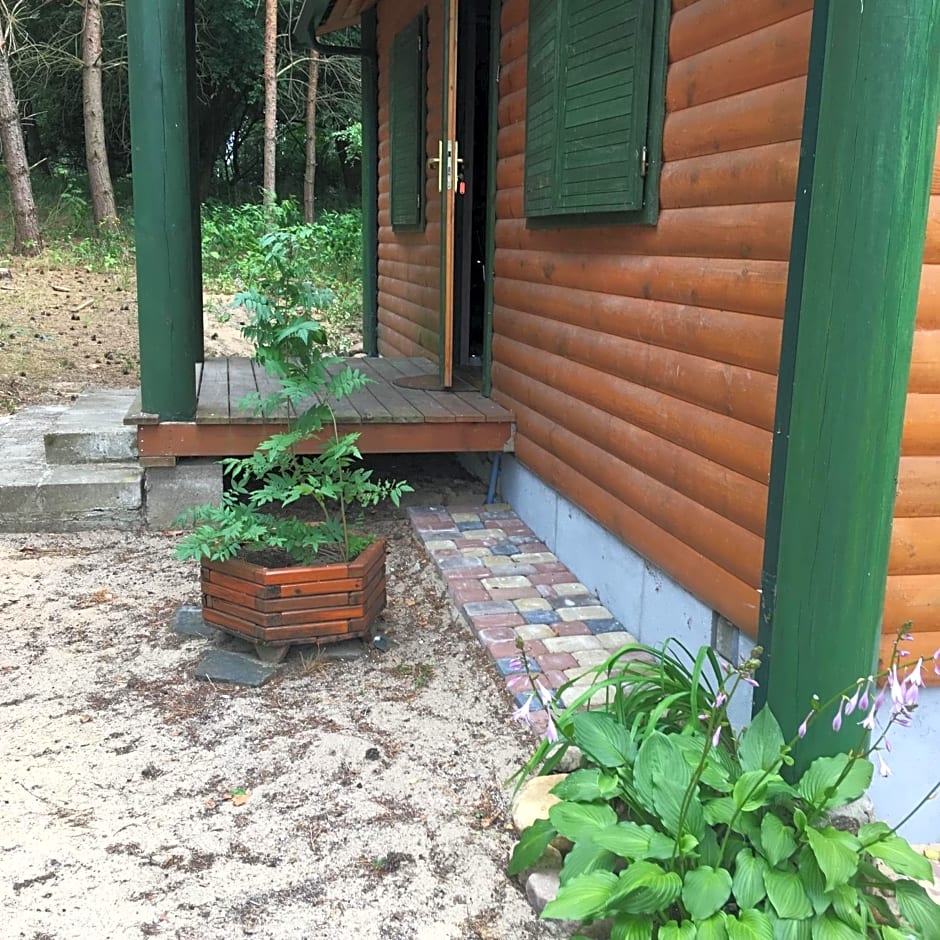 Agroturystyka Oaza Ciszy i Spokoju