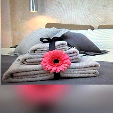 OLYMPUS PARK amnesia