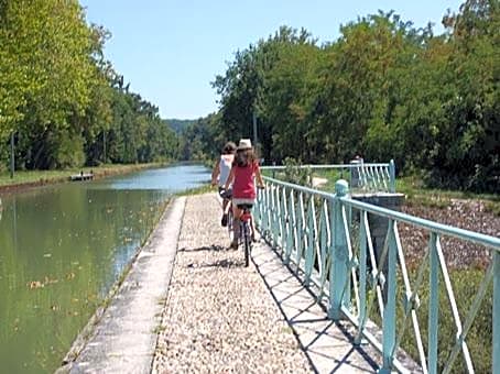 les tilleuls de la voie verte