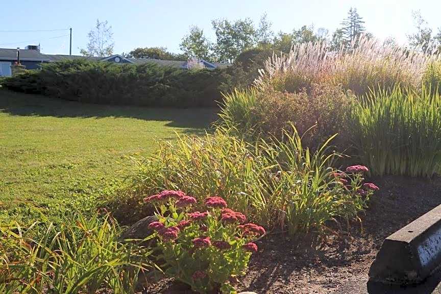 Coastal Inn - Kingfisher