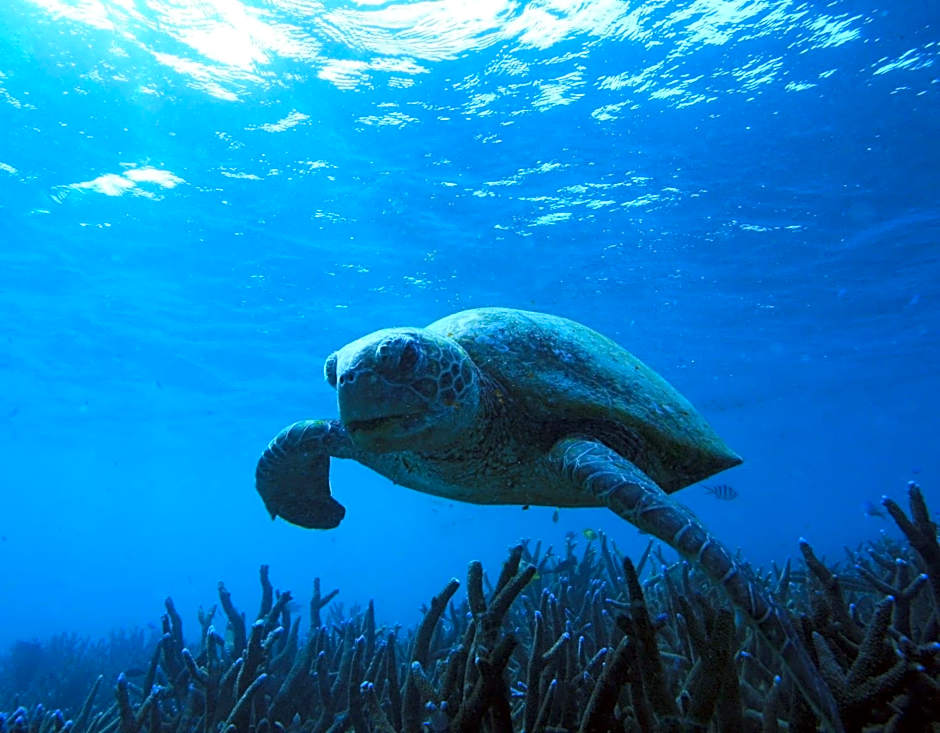 Mackerel Islands Resort