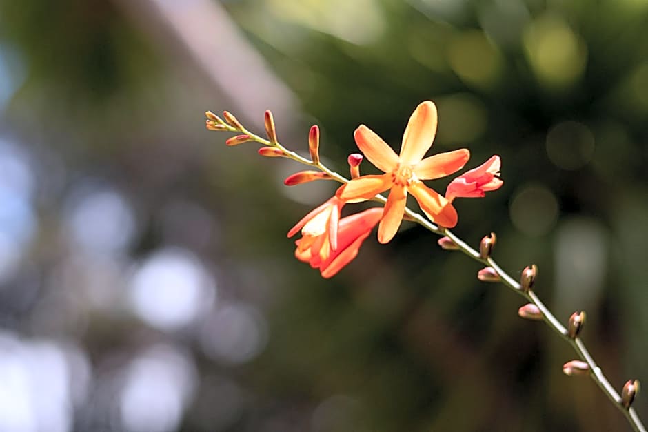 Strahan Beach Tourist Park