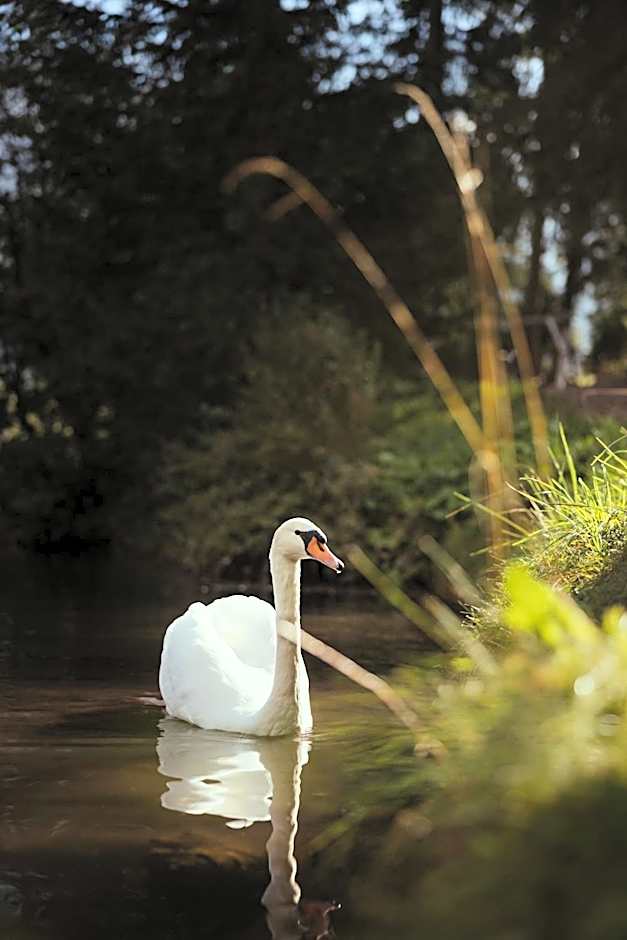Hotel Lech Da Sompunt