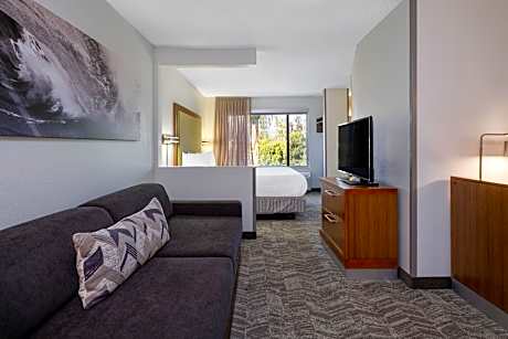 Studio, 1 King Bed with Sofa bed (1 King Bed and 1 Double Sofa Bed)