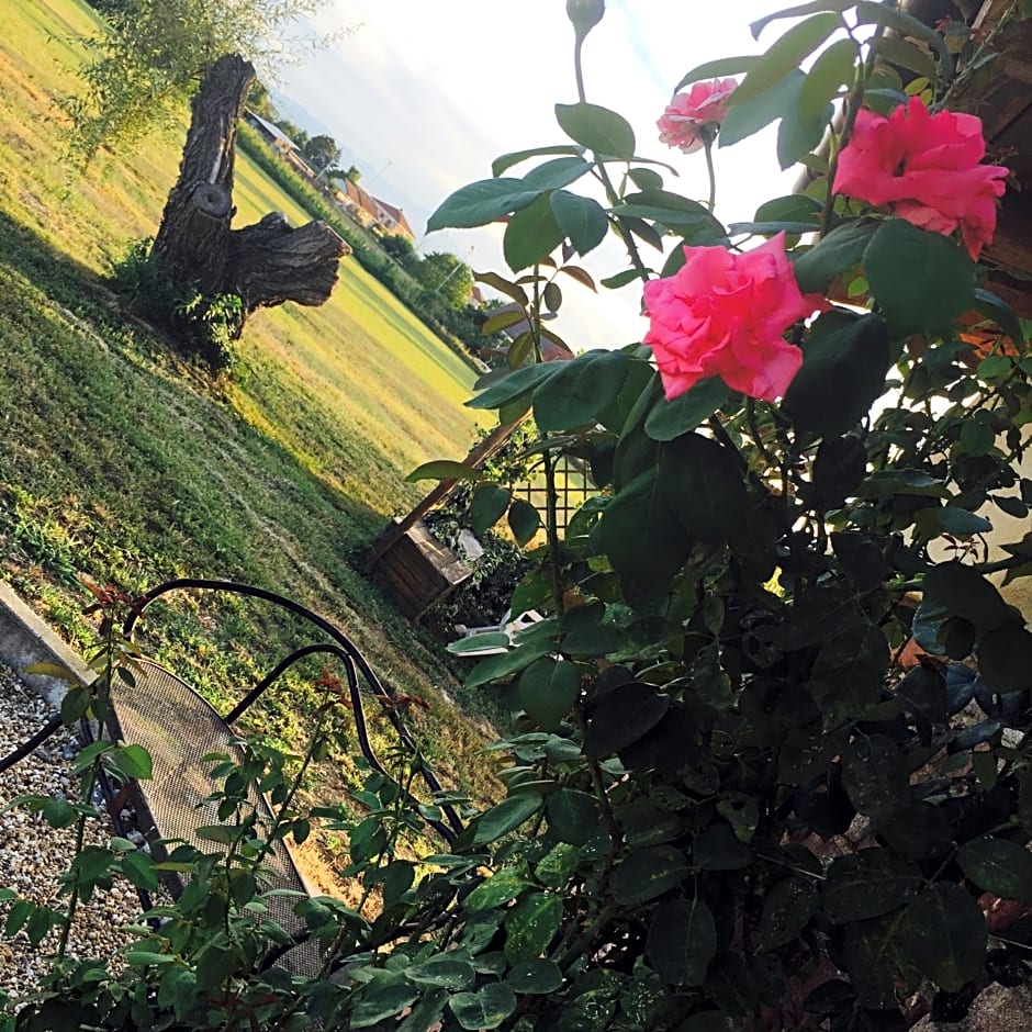 Bed & Breakfast Il mio Gelso