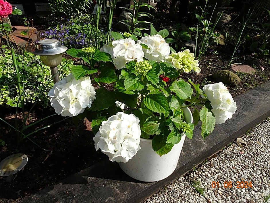 Hotel zum alten Torfkahn