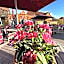 Hotel & Restaurant Zum Kap Arkona