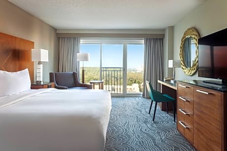 Standard Room with Resort View