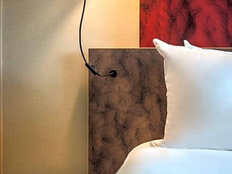 Superior Room With 2 Single Beds