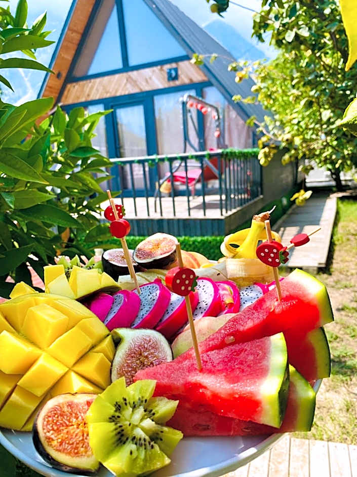 Garden Bungalows and Suites