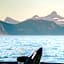 Astra Whale - Waterfront Boutique Hostel in Lofoten