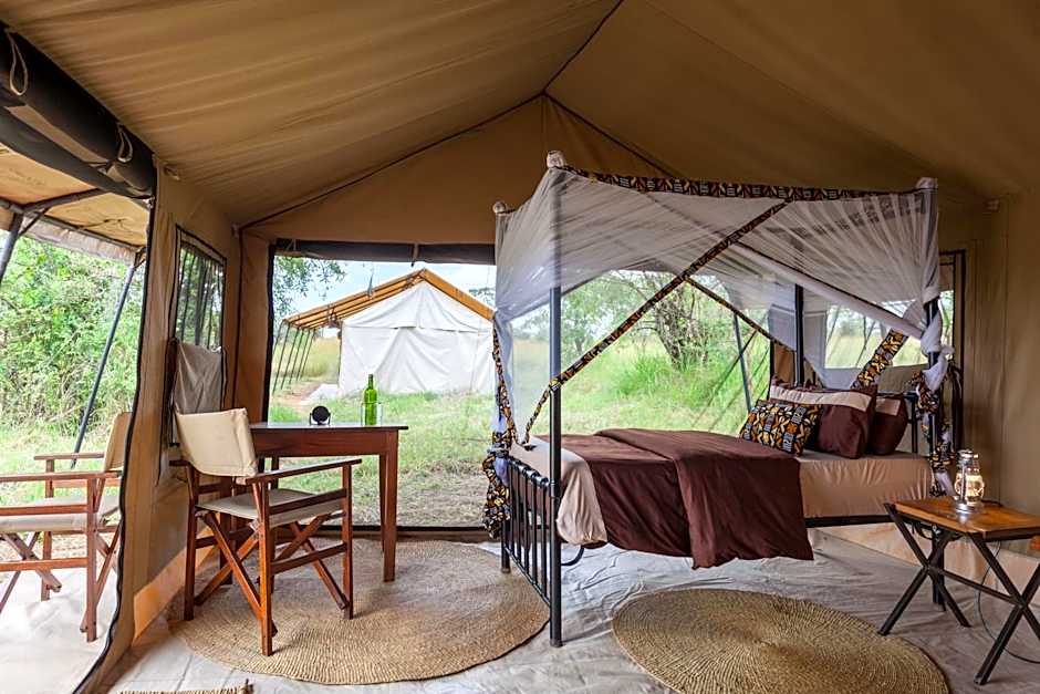 Gnu Ndutu Camp