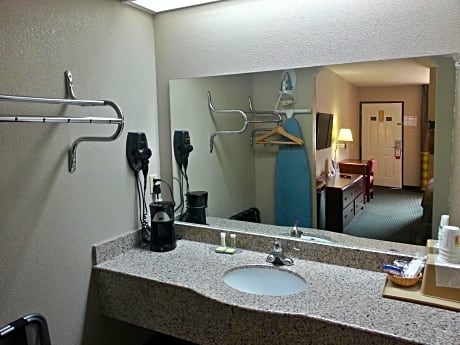 room, 1 king bed, accessible, smoking (roll-in shower, pet-friendly)