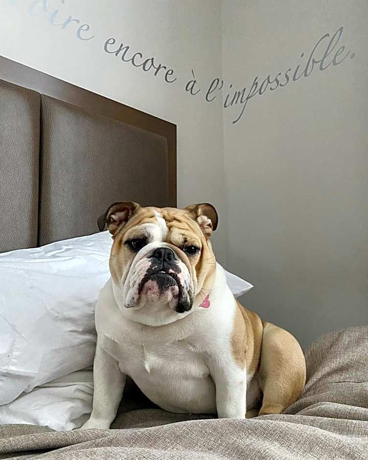 Hotel Montfort Nicolet