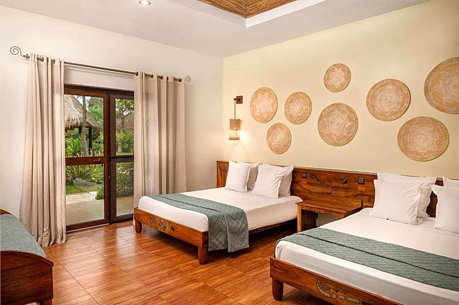Royal Horizon Baobab