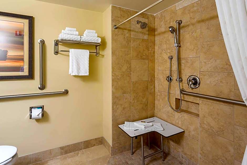 Best Western PLUS Cotton Tree Inn