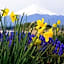 Shoji Mount Hotel - Vacation STAY 82979v