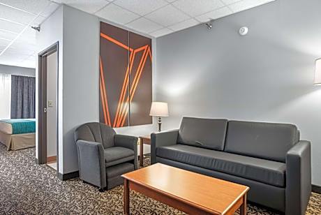 One-Bedroom King Suite - Non-Smoking