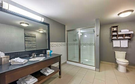 1 King Studio Suite W/Whirlpool Nonsmoking